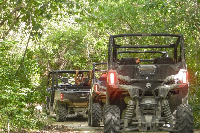 Playa del Carmen Buggy Tour with Cenote Swim and Mayan Village Visit - A muddy start beyond Playa del Carmen