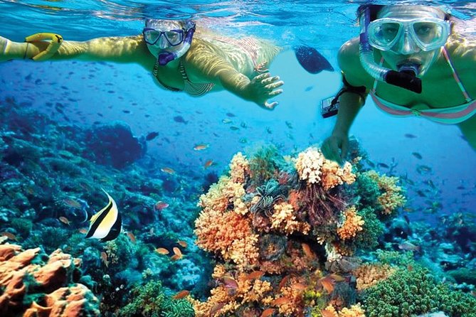 Plus Experience Isla Mujeres Tour - Four free hours on Isla Mujeres