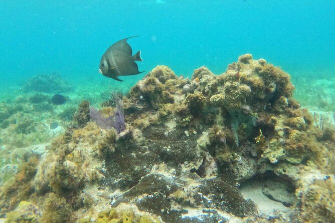 Premium Isla Mujeres Tour by Private Catamaran - What the crew adds to the experience