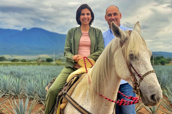 Premium Private Tequila Tour - Why this private tequila day works