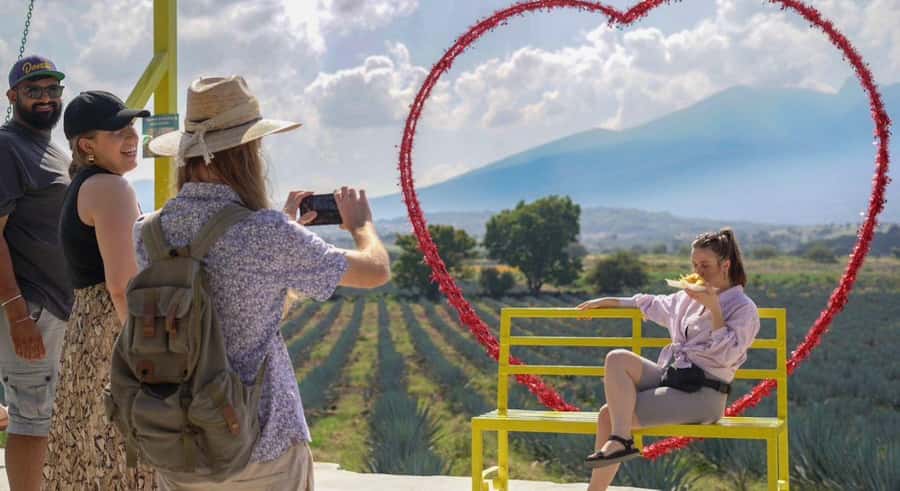 Premium Tequila Route with professional tasting - What this tequila day gets right