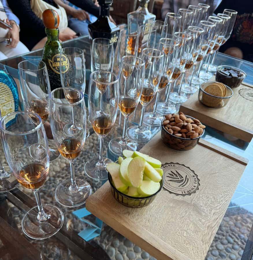 Premium Tequila Route with professional tasting - Amatitán views, photo stops, and the second tasting
