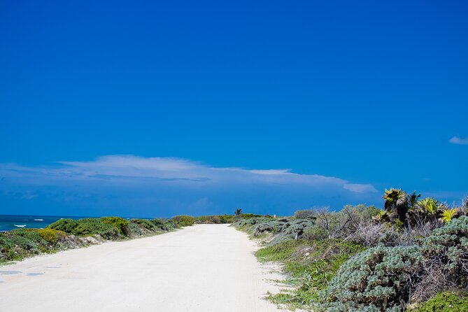 Private Buggy Tour and Punta Sur Park: All-Inclusive - Why Punta Sur gives this tour its purpose