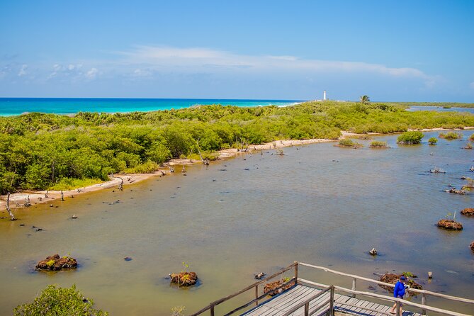 Private Buggy Tour and Punta Sur Park: All-Inclusive - Who will enjoy this private Cozumel day