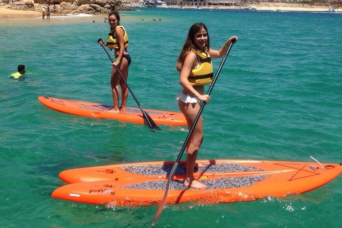 Private Cabo 35ft cat experience Food and open bar included! - Whale watching and flexible routing