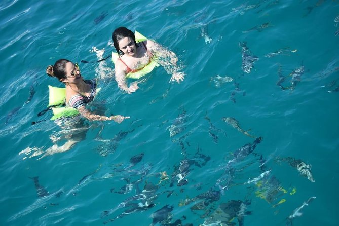 Private Catamaran Snorkeling Cruise in Los Cabos - What the $950 price really buys you