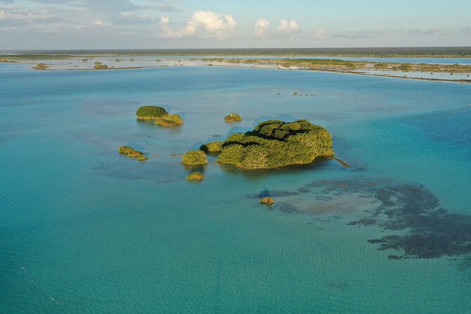 Private Catamaran Tour - Is $990 good value for your group?
