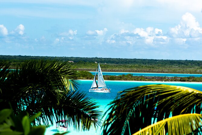 Private Catamaran Tour - Who will enjoy this catamaran most?