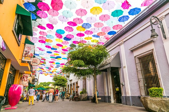 Private City Tour Guadalajara and Tlaquepaque - Chapultepec and the American Colony