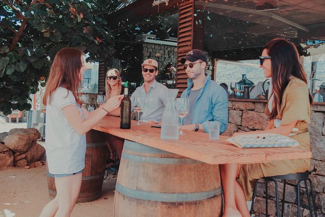 Private Curated Wine Tour in Valle de Guadalupe - Vinisterra: a small first stop away from the crowds