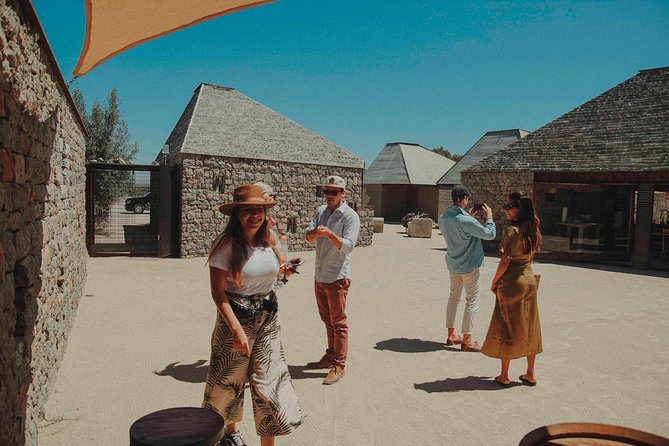 Private Curated Wine Tour in Valle de Guadalupe - Pickup from Ensenada, the valley, or a cruise port