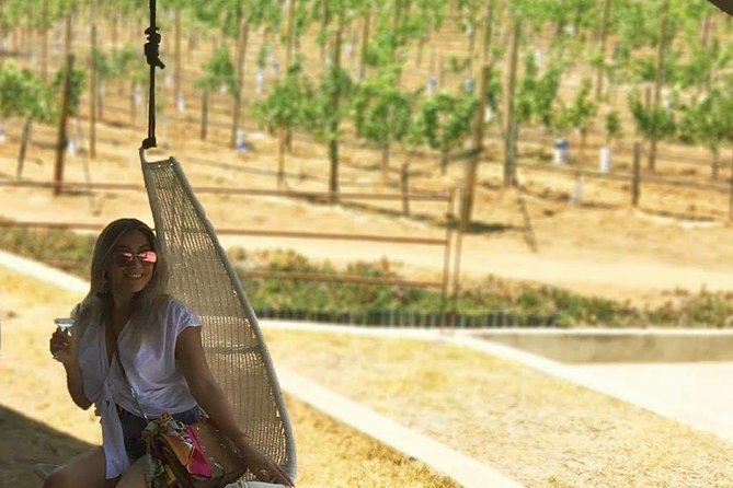Private Curated Wine Tour in Valle de Guadalupe - Families, birthdays, and groups with mixed plans
