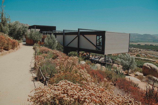 Private Curated Wine Tour in Valle de Guadalupe - A two-hour food break in Valle de Guadalupe