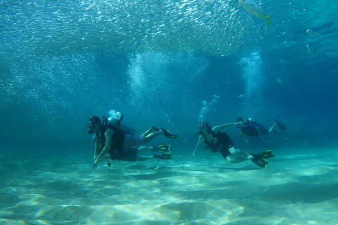 Private Dive Boat for Certified Divers - Cabo San Lucas - Why this private Cabo boat works well for a short outing
