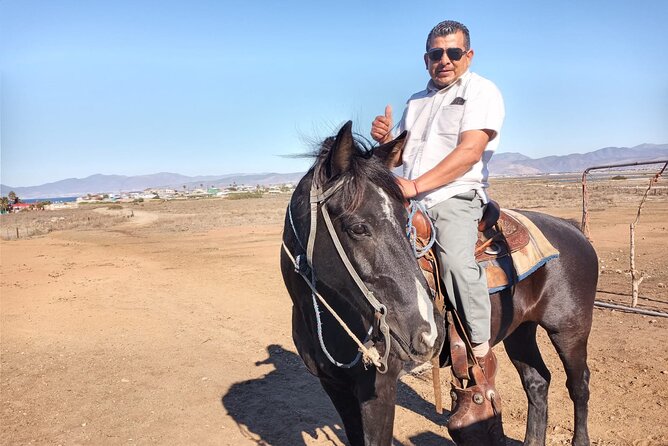 Private excursion to the bufadora and horseback riding on the beach - Is $75 a good value?