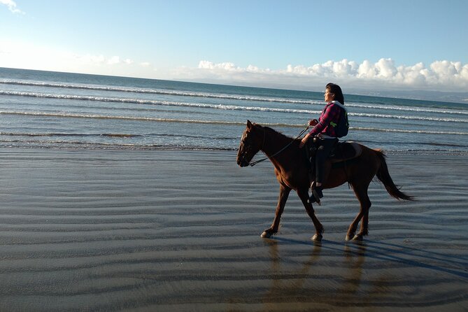 Private excursion to the bufadora and horseback riding on the beach - Who should book this experience?