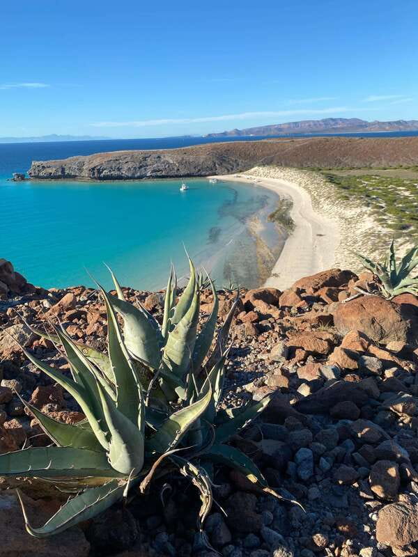 Private experience from Cabo San Lucas to La Paz: (Balandra beach) - Why this day is worth leaving Cabo for
