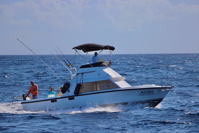 Private fishing charter Bertram 31ft 6 pax max if you don't fish you don't pay - Starting at Cancun Sunset Marina