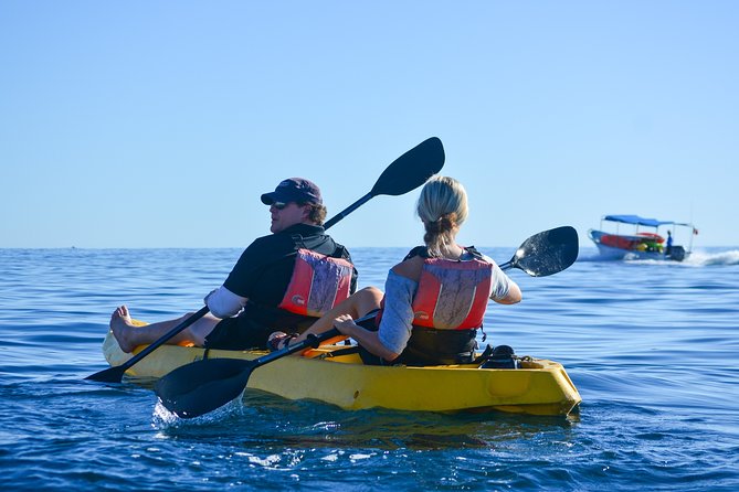 Private Glass bottom Kayak and snorkel at two Bays - Hotel pickup and the Plaza Gali meeting point