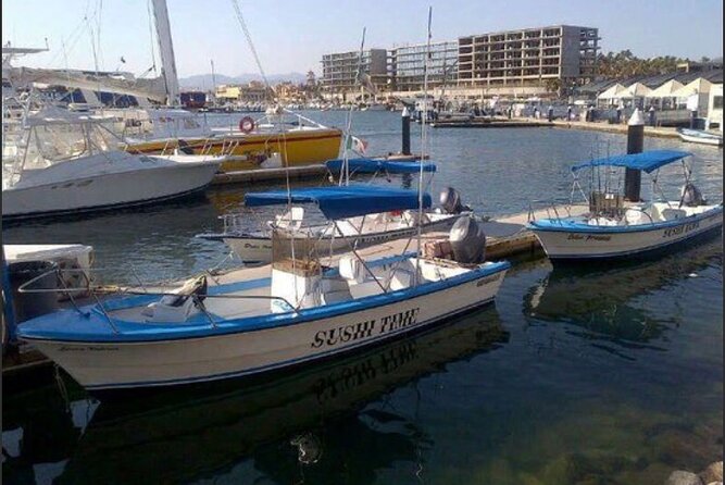 Private Half-Day Sport Fishing in Los Cabos - Fishing Grounds in Two Different Bodies of Water
