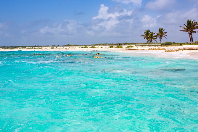Private Jeep and 4x4 Polaris RZR Tour with Mexican Lunch - Chocolate, tortillas, and tequila at Sabores de Cozumel