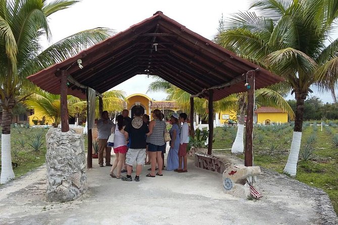 Private Jeep Excursion in Cozumel with Lunch and Snorkeling - El Mirador and the east coast