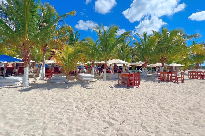 Private Jeep or Buggy Tour Snorkeling Maya Park and Tacos - San Martin Beach and tacos by the sea