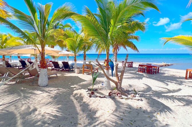 Private Jeep or Buggy Tour Snorkeling Maya Park and Tacos - Is $79 a good value?