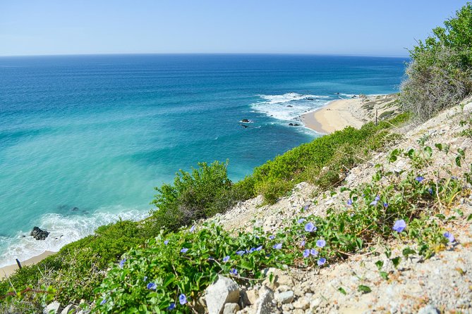 Private Jeep Tour Cabo Pulmo - Returning by the Transpeninsular Highway