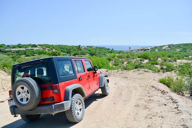 Private Jeep Tour Cabo Pulmo - What the private price really buys you
