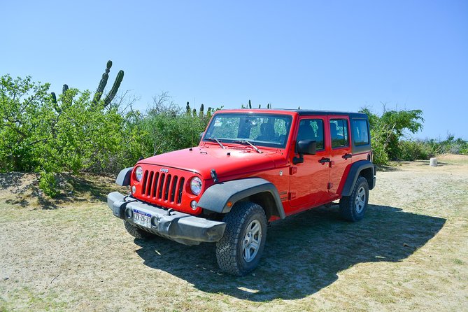 Private Jeep Tour Cabo Pulmo - Weather, road conditions, and practical limits