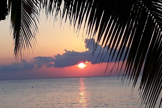 Private Jeep Tour in Cozumel - San Martin and Chen Rio on the east coast