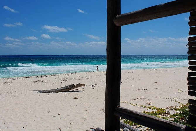 Private Jeep Tour in Cozumel - What the flexible schedule really means
