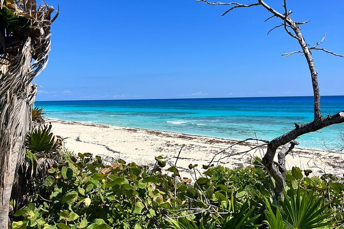 Private Mayan Ruins Tour with Cenote/caves and Mexican Picnic - Why the guide makes or breaks the day