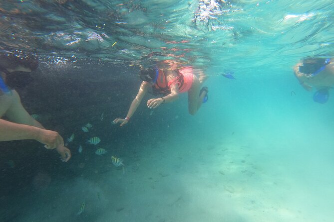 Private MUSA Snorkeling Experience at Isla Mujeres and Cancun - A private boat changes the feel of four hours
