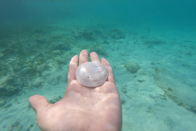 Private MUSA Snorkeling Experience at Isla Mujeres and Cancun - Is $550 a fair price for the group?
