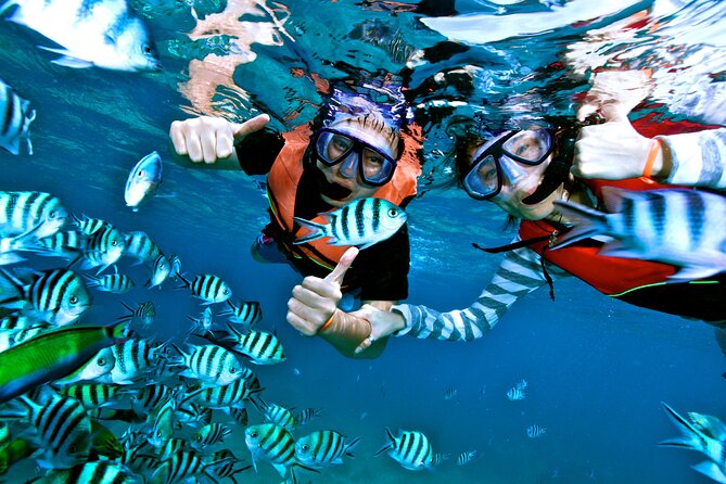 Private MUSA Snorkeling Experience at Isla Mujeres and Cancun - Weather and cancellation details