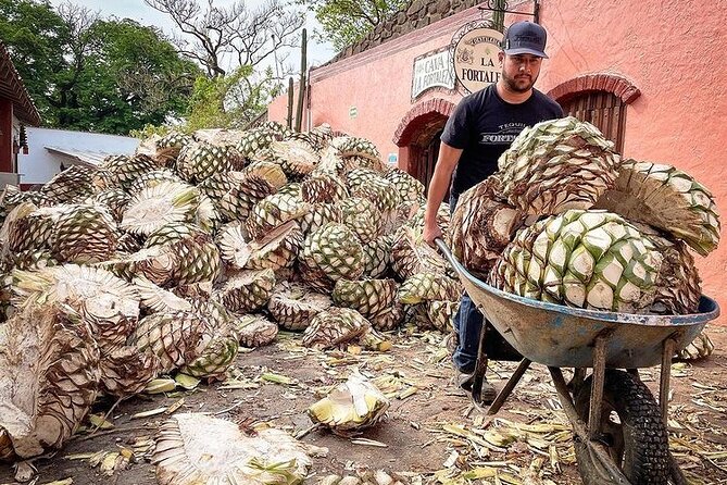Private One Day Adventure Tour in Tequila and La Fortaleza Distillery - Fortaleza’s old methods and four-expression tasting
