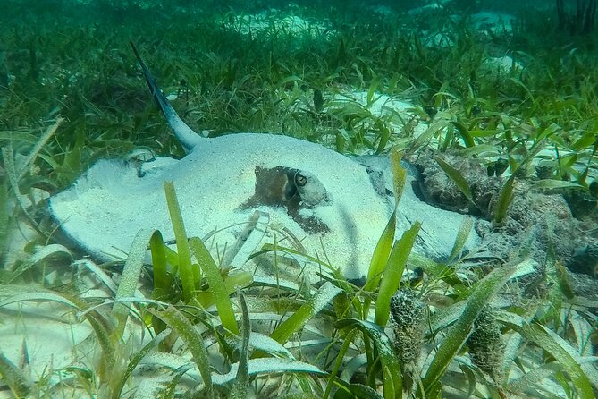 Private (only you) Reef Snorkeling in Puerto Morelos 2x40 minutes - Adding time in the fishermen’s village