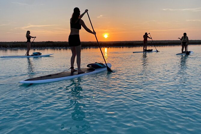 Private Paddleboard Experience in Bacalar - Paddleboard equipment and private pacing