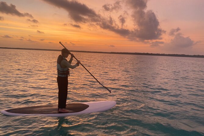 Private Paddleboard Experience in Bacalar - Bird Island, the first natural stop