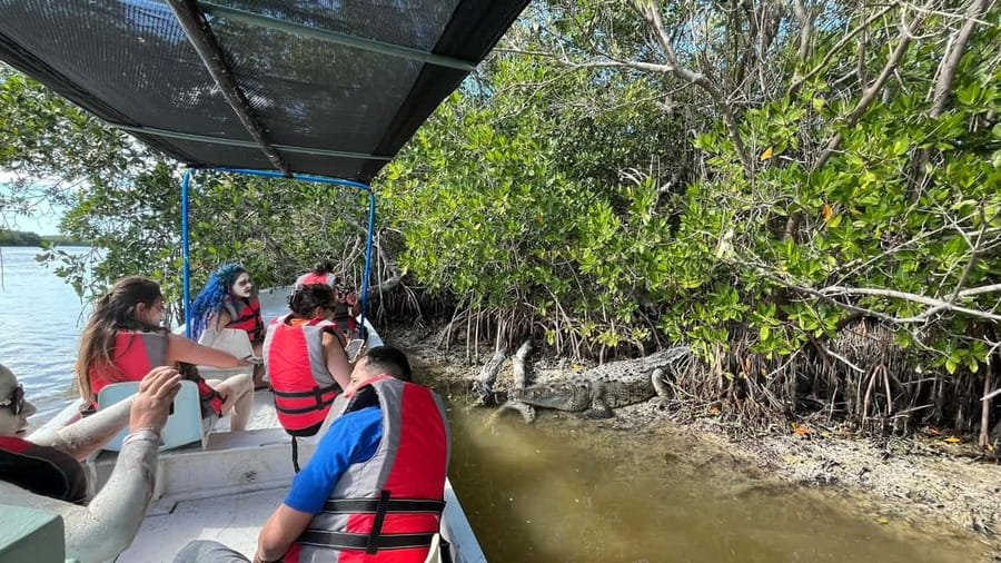 Private Ría Lagartos Boat Tour: Flamingos & Crocodiles - What the 2.5-hour route feels like