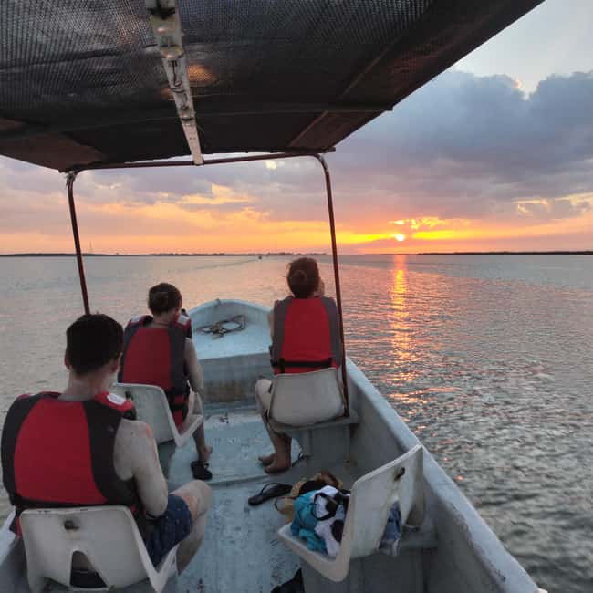 Private Ría Lagartos Boat Tour: Flamingos & Crocodiles - Crocodile spotting along the banks