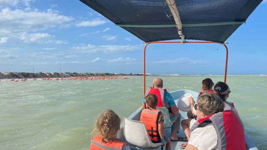 Private Ría Lagartos Boat Tour: Flamingos & Crocodiles - Morning or later in the day?