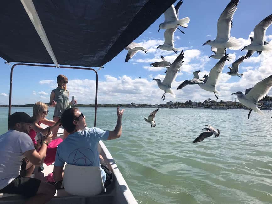 Private Ría Lagartos Boat Tour: Flamingos & Crocodiles - Who will enjoy this tour most?