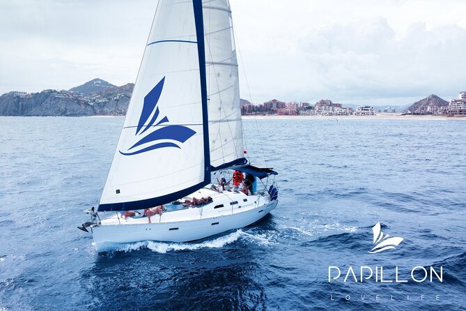 Private Sailboat tour in Cabo San Lucas with Papillon Yachts - Sailing toward the Arch and sea lions