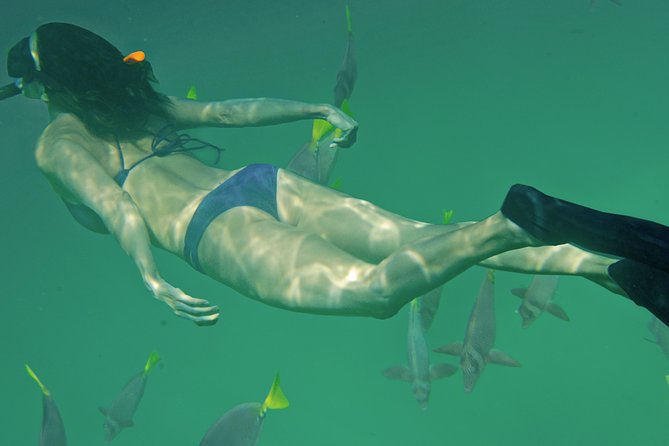 Private Snorkeling Tour in Cabo San Lucas - Guides who work well with nervous swimmers