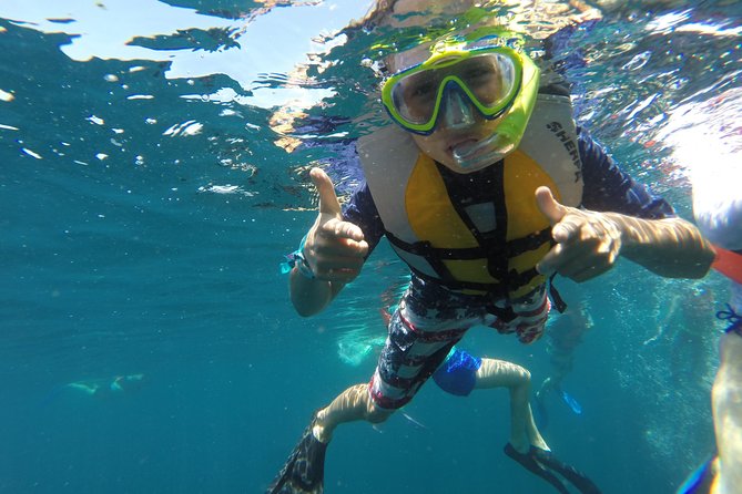Private Snorkeling Tour in Cabo San Lucas - What the private format really adds