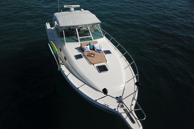 Private Sunset Cruise- 3 Hour - Whales, fishing, and other possible additions