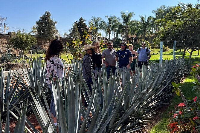 Private Tequila Tour with Local Expert - Why this route works for tequila fans